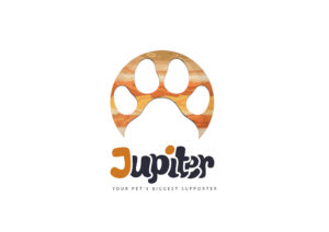 Jupiter-1764971784.jpg